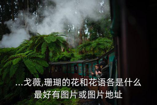 珊瑚蟲圖片,我國海底看到罕見紫色珊瑚珊瑚是生命中的奇跡