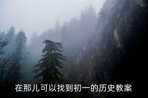 在那兒可以找到初一的歷史教案