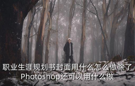 職業生涯規劃書封面用什么怎么做除了Photoshop還可以用什么做