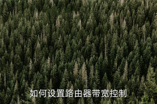 帶寬控制，如何控制帶寬