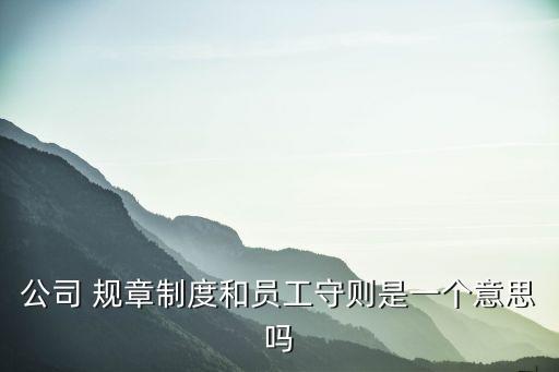 員工守則與規章制度，公司 規章制度和員工守則是一個意思嗎