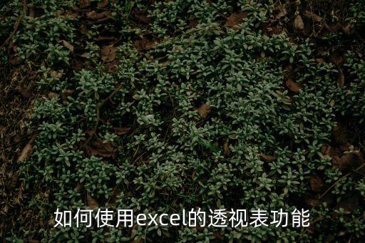 如何使用excel的透視表功能