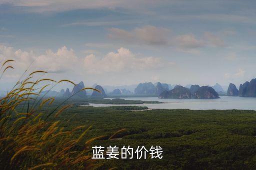 藍姜的價錢