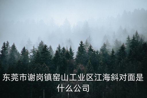 東莞市廣溢建材，東莞市謝崗鎮窯山工業區江海斜對面是什么公司
