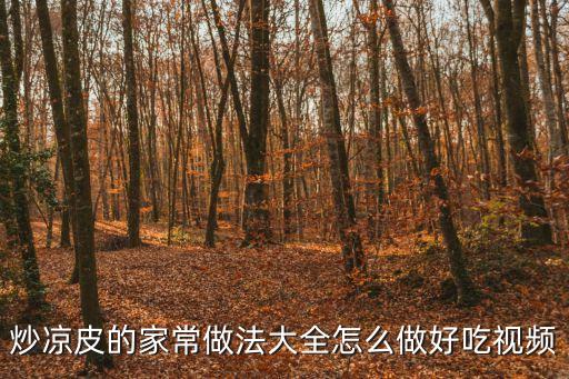 炒涼皮的家常做法，炒涼皮的做法炒涼皮怎么做好吃