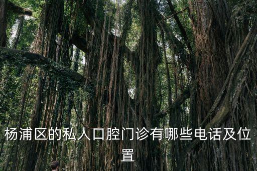 楊浦區(qū)的私人口腔門診有哪些電話及位置