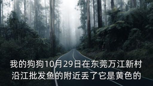 我的狗狗10月29日在東莞萬江新村沿江批發(fā)魚的附近丟了它是黃色的