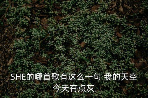 我的天空今天有點灰，想念變成懷念 心動變成心碎 我的天空今天有點灰 我的心情是跟落葉的