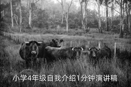 四年級自我介紹，4年級小學生自我介紹十萬火急求了啦