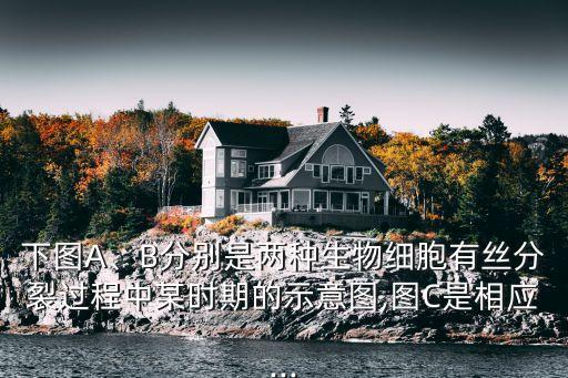 下圖A、B分別是兩種生物細胞有絲分裂過程中某時期的示意圖,圖C是相應...