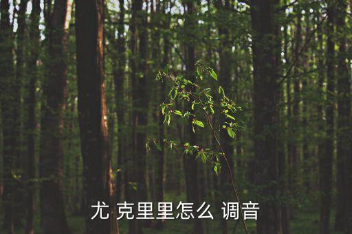 尤克里里調(diào)音器,夏威夷迷你吉他怎么調(diào)?