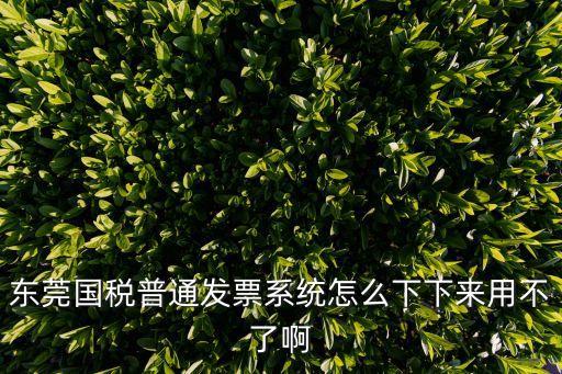東莞國稅普通發票系統怎么下下來用不了啊