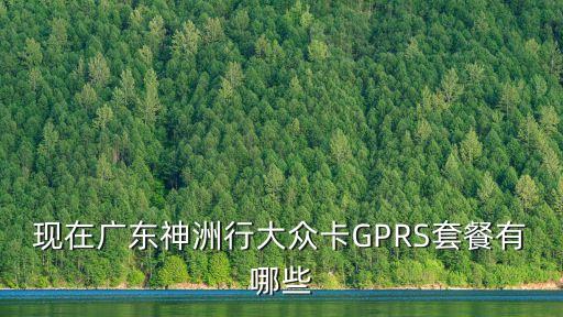 現(xiàn)在廣東神洲行大眾卡GPRS套餐有哪些