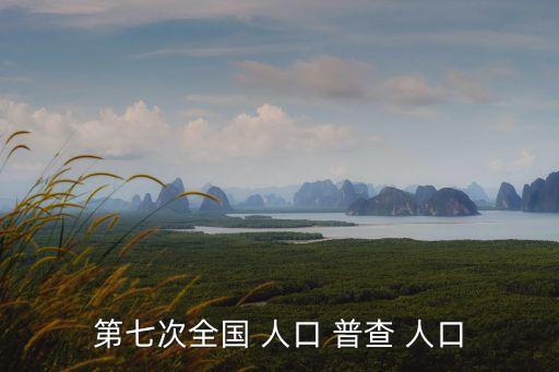 第七次全國 人口 普查 人口