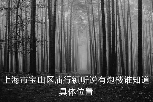 上海市寶山區廟行鎮小區，上海市寶山區廟行鎮聽說有炮樓誰知道具體位置
