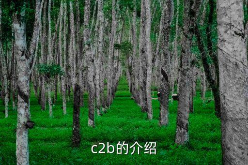 c2b的介紹