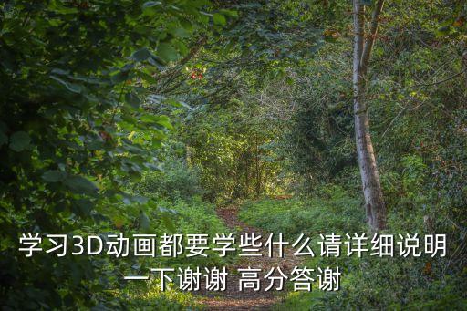 學習3D動畫都要學些什么請詳細說明一下謝謝 高分答謝