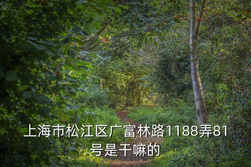 上海市昊樂酒業，上海市松江區廣富林路1188弄81號是干嘛的