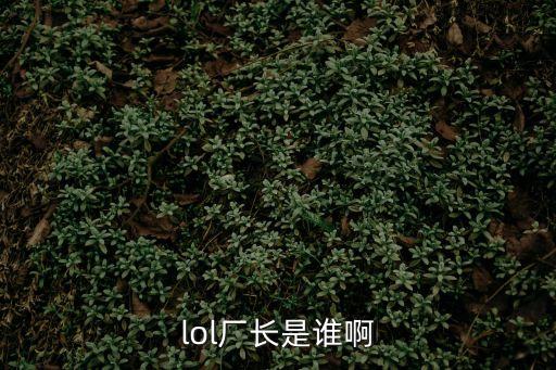 lol廠長(zhǎng)是誰(shuí)啊