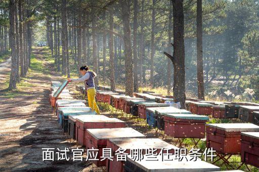 面試官應(yīng)具備哪些任職條件