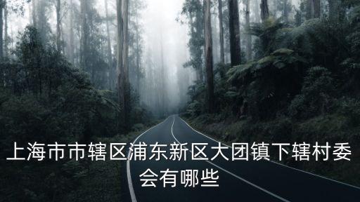 上海市市轄區(qū)浦東新區(qū)大團(tuán)鎮(zhèn)下轄村委會(huì)有哪些