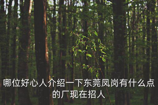 哪位好心人介紹一下東莞鳳崗有什么點的廠現(xiàn)在招人