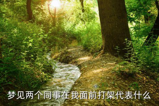 夢見兩個同事在我面前打架代表什么