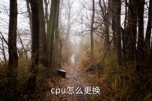更換cpu，cpu怎么更換