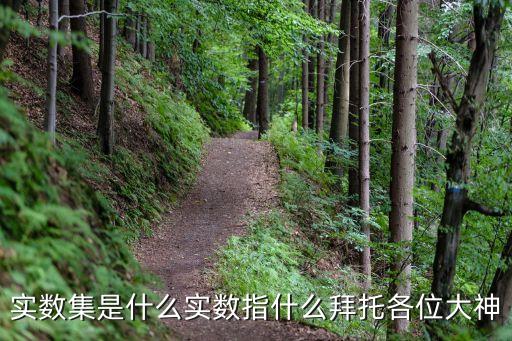 實(shí)數(shù)集包括什么，什么叫實(shí)數(shù)集