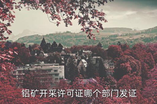  鋁礦開采許可證哪個部門發證