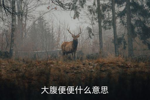 大腹便便什么意思