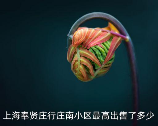 上海奉賢莊行莊南小區最高出售了多少