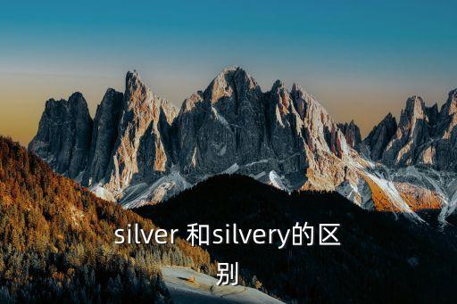 silver 和silvery的區(qū)別