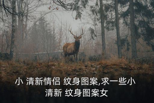 小 清新情侶 紋身圖案,求一些小 清新 紋身圖案女