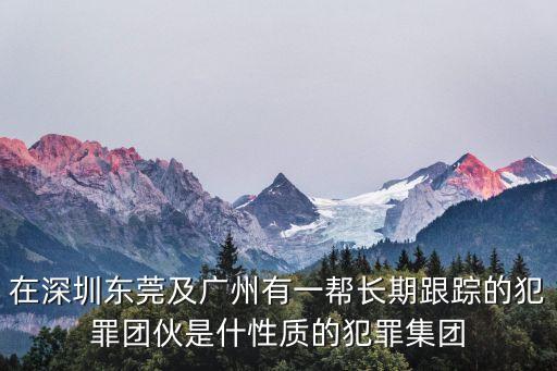 東莞流浪漢王金林，在深圳東莞及廣州有一幫長期跟蹤的犯罪團伙是什性質的犯罪集團