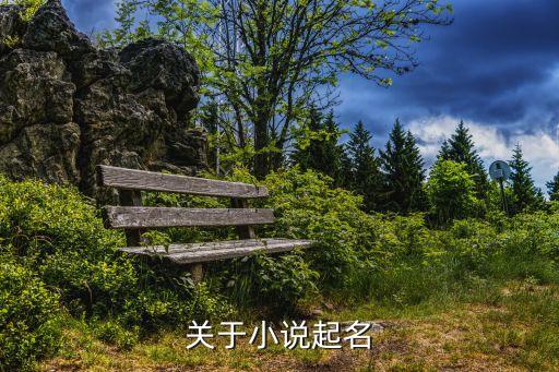 關于小說起名