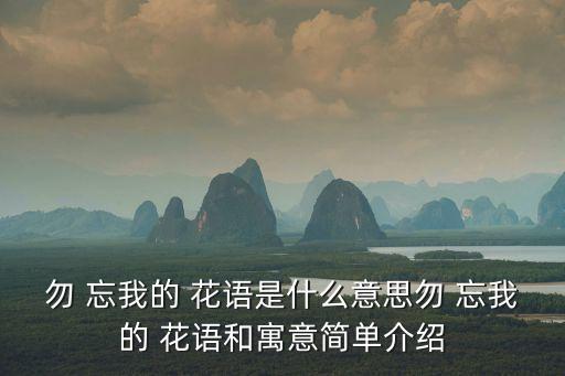 勿忘我的花語,勿忘我花語:永恒的回憶