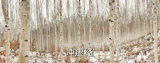 沖虛真經，沖虛經