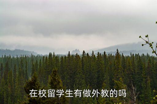 來華留學生，留學生來華 應該準備什么節目合適