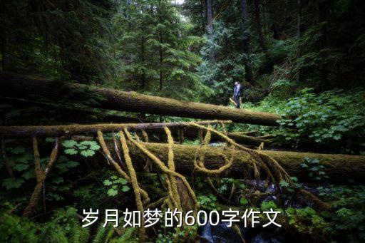 歲月如夢，歲月如夢時光如梭什么意思