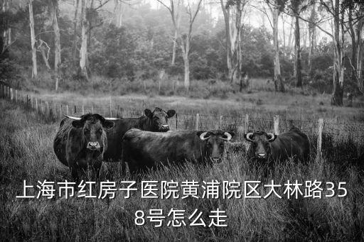 上海市紅房子醫院黃浦院區大林路358號怎么走