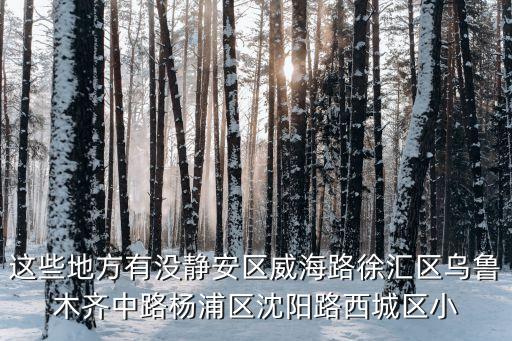 這些地方有沒(méi)靜安區(qū)威海路徐匯區(qū)烏魯木齊中路楊浦區(qū)沈陽(yáng)路西城區(qū)小