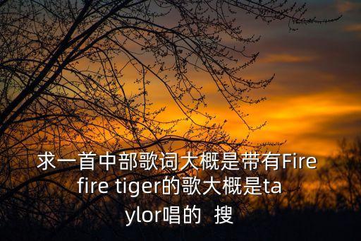 求一首中部歌詞大概是帶有Fire fire tiger的歌大概是taylor唱的  搜