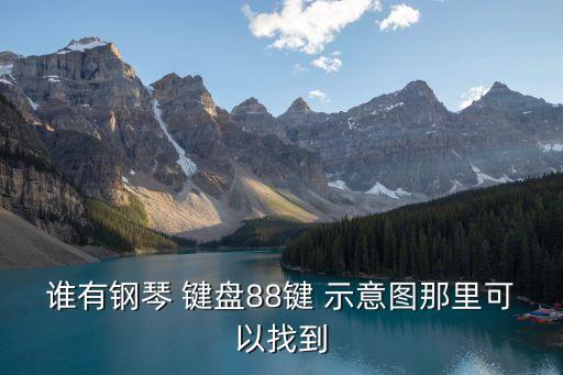誰有鋼琴 鍵盤88鍵 示意圖那里可以找到
