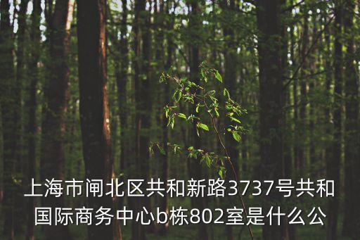 上海市閘北區共和新路3737號共和國際商務中心b棟802室是什么公