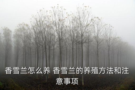 香雪蘭怎么養 香雪蘭的養殖方法和注意事項