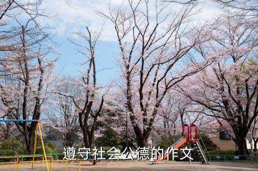 遵守社會公德的作文