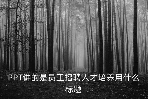 PPT講的是員工招聘人才培養(yǎng)用什么標(biāo)題