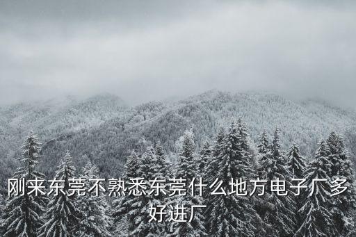 剛來東莞不熟悉東莞什么地方電子廠多好進(jìn)廠