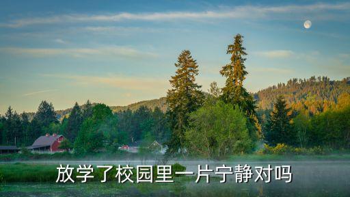 放學了校園里一片寧靜對嗎